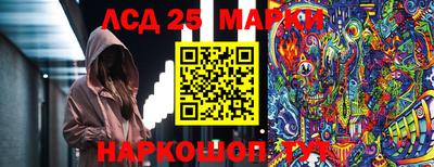 гашик Волжский
