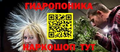 шишки Волжск