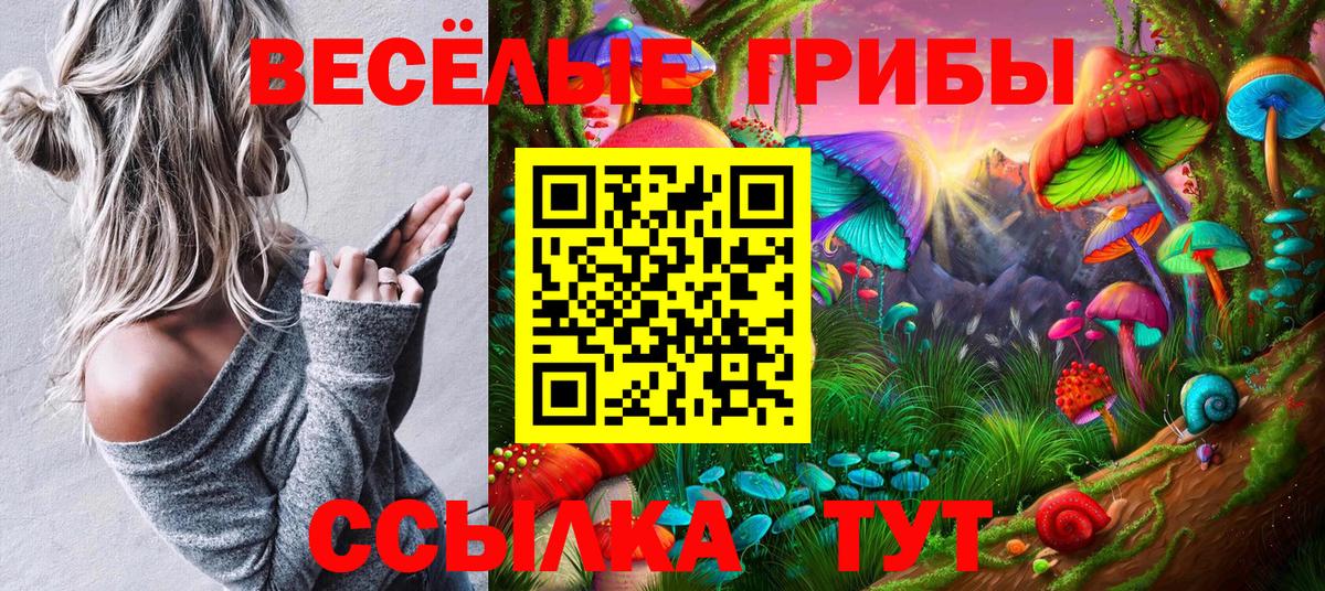 что такое   Галлюциногенные грибы мицелий  Вход с VPN  Кондопога 